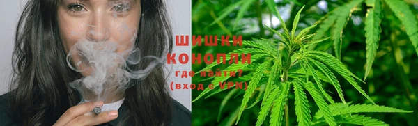 молекула духа Нефтегорск