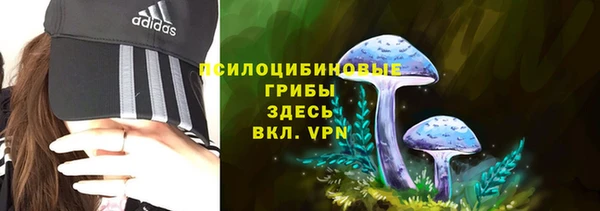 молекула духа Нефтегорск