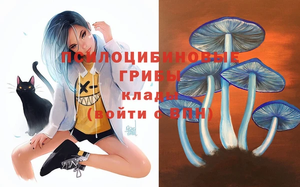 PSILOCYBIN Нефтекумск