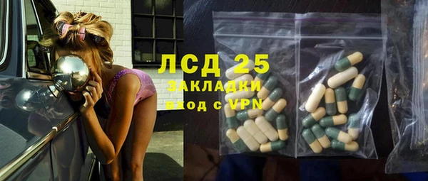 ГАЛЛЮЦИНОГЕННЫЕ ГРИБЫ Дубовка